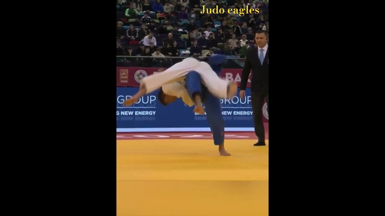 能力的质疑